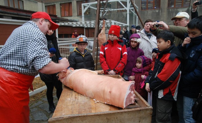 Летенский поросёнок