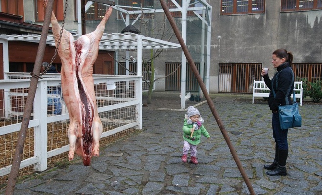 Летенский поросёнок