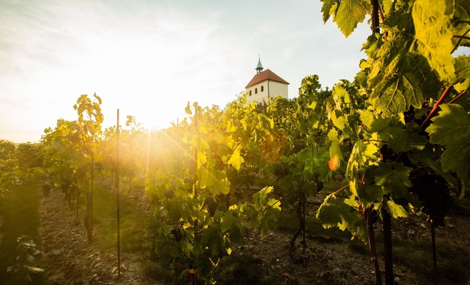 Весенняя ярмарка в Ботаническом саду