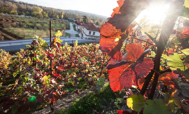 Весенняя ярмарка в Ботаническом саду