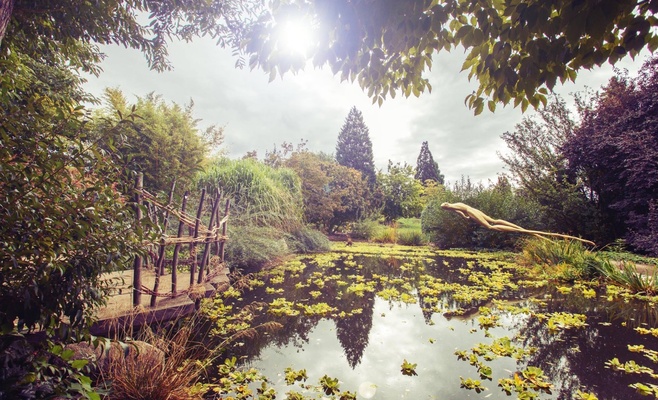 Весенняя ярмарка в Ботаническом саду