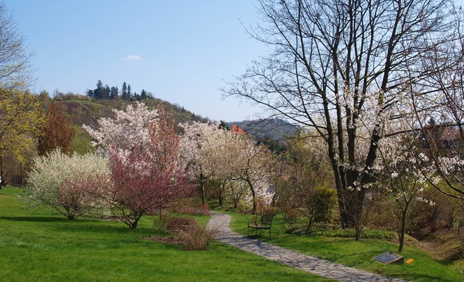 Весенняя ярмарка в Ботаническом саду