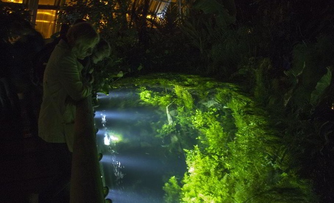 Вечерние экскурсии по оранжерее «Фата Моргана»