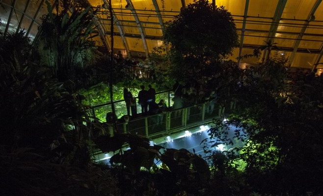 Вечерние экскурсии по оранжерее «Фата Моргана»