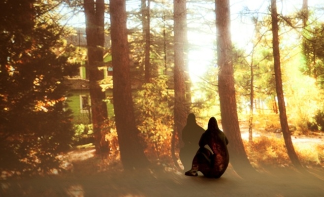 Штепанка Шимлова: «Года левитации»