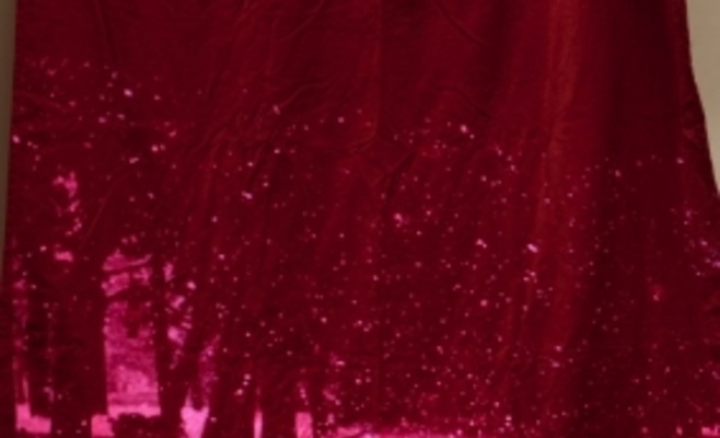 Штепанка Шимлова: «Года левитации»