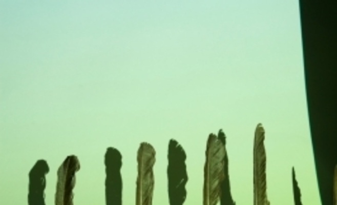 Штепанка Шимлова: «Года левитации»