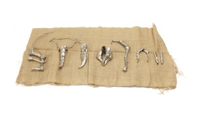 David Cronenbeg: Evolution