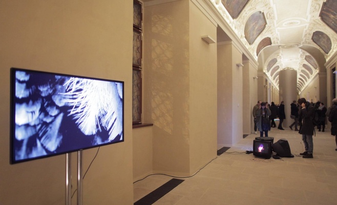 Во сне это выглядело иначе