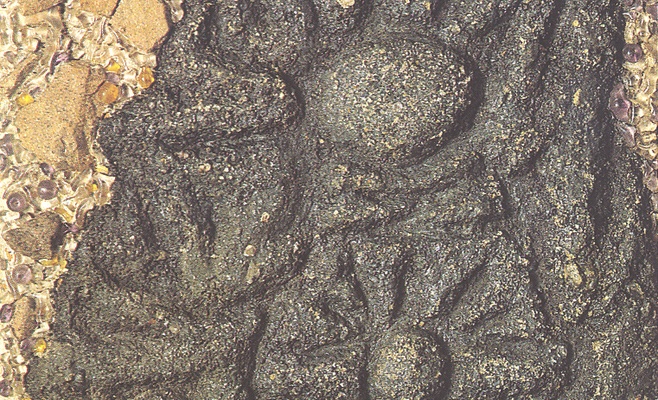 Вера Новакова: «Перед стенами»