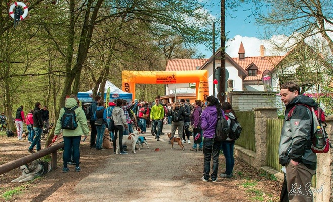 «Прямо за носом» — благотворительное шествие в поддержку брошенных и пострадавших от насилия животных