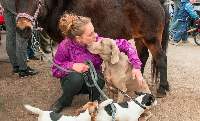 «Прямо за носом» — благотворительное шествие в поддержку брошенных и пострадавших от насилия животных