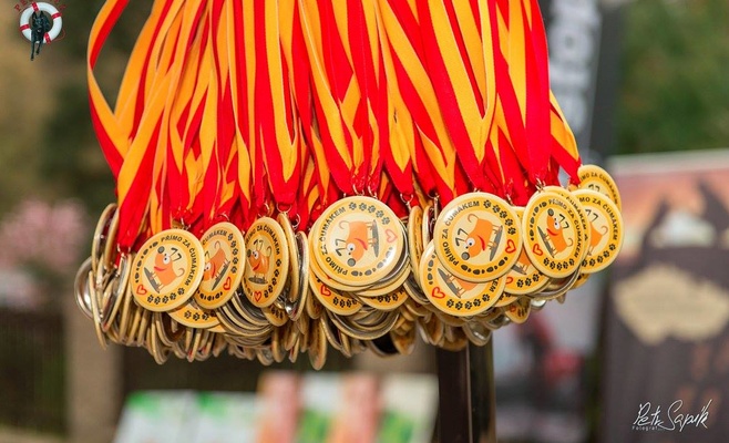 «Прямо за носом» — благотворительное шествие в поддержку брошенных и пострадавших от насилия животных