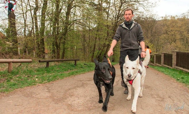 «Прямо за носом» — благотворительное шествие в поддержку брошенных и пострадавших от насилия животных