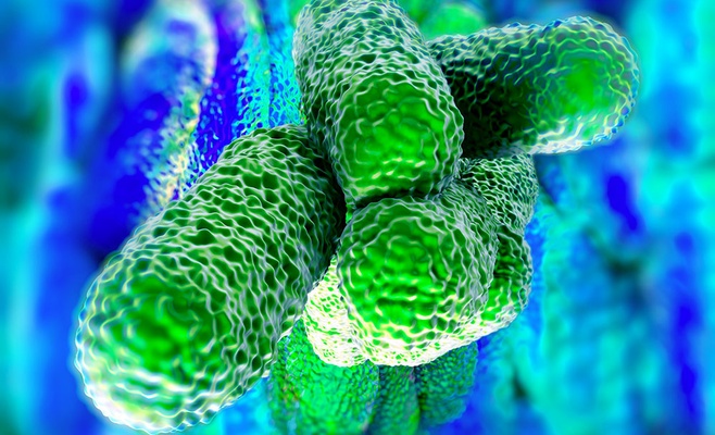 Бактерии легионеллы найдены в воде в ещё одном районе Праги