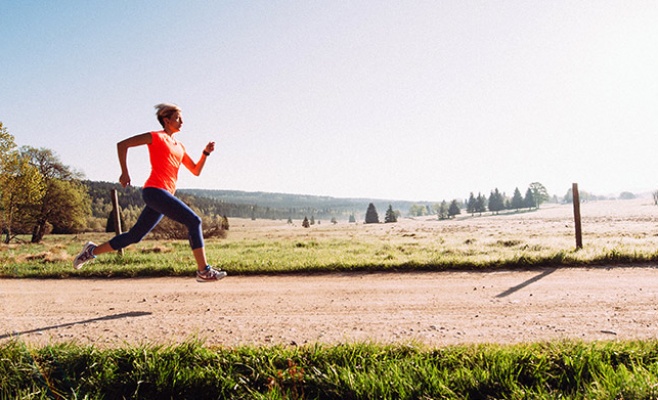 Vltava Run — двухдневная эстафета команд