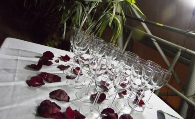 День святого Валентина в Ботаническом саду