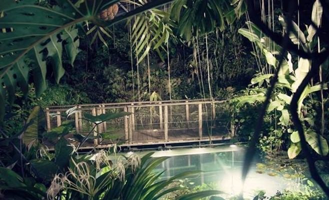 День святого Валентина в Ботаническом саду