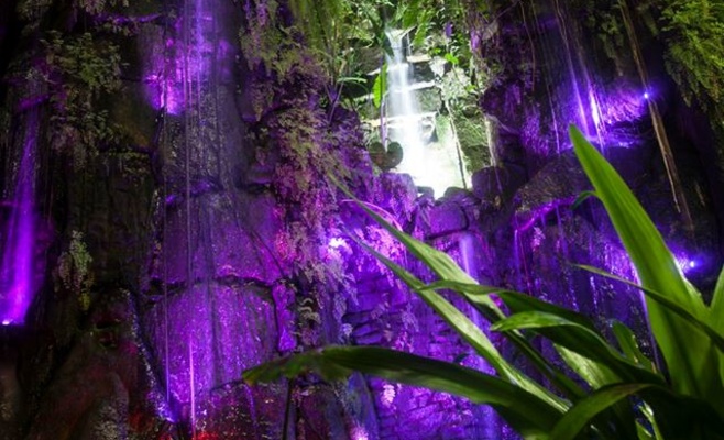 День святого Валентина в Ботаническом саду