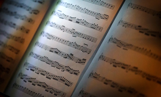 Musica Amorosa — вечер святовалентинский