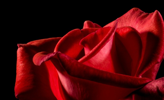 Самое большое валентинское сердце в торговой галерее Myslbek