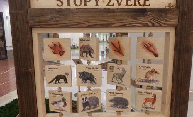 «Лесное королевство» — интерактивная выставка о лесе и его жителях