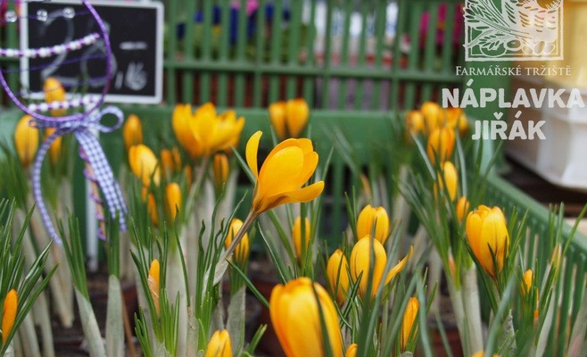 Пасха на фермерских рынках на «Йиржаке»