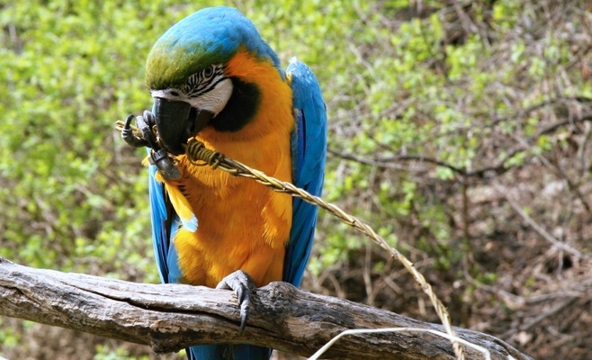 Пасха в Пражском зоопарке