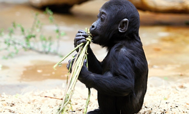 Пасха в Пражском зоопарке