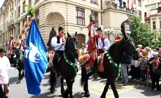 Святоянские торжества Navalis