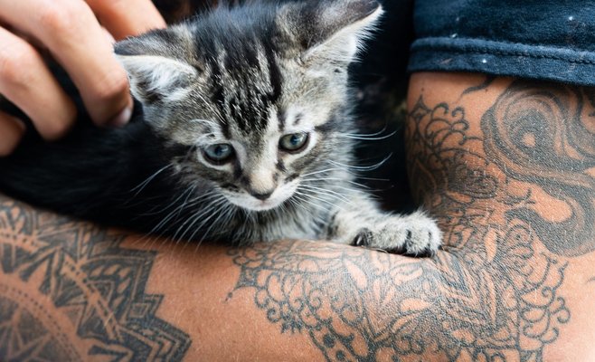 International Tattoo Convention Prague