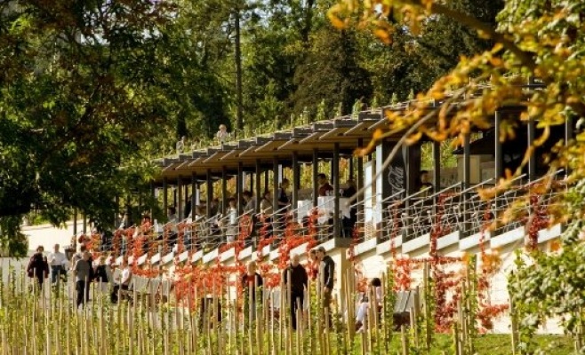 Праздник розового вина