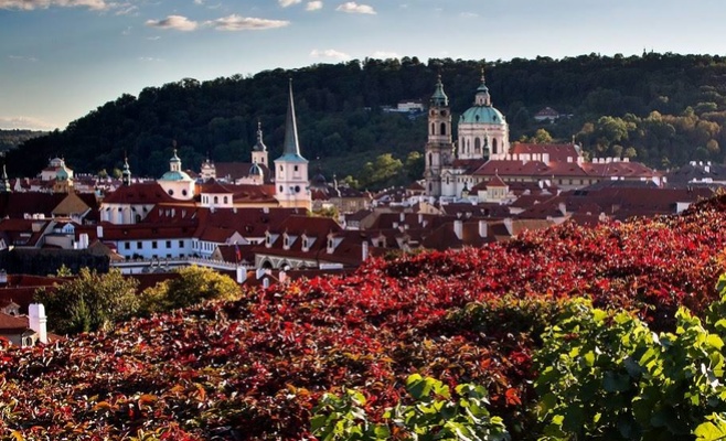 Праздник розового вина