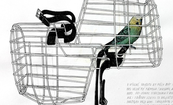 Иржи Черницкий: «Дикие сны»