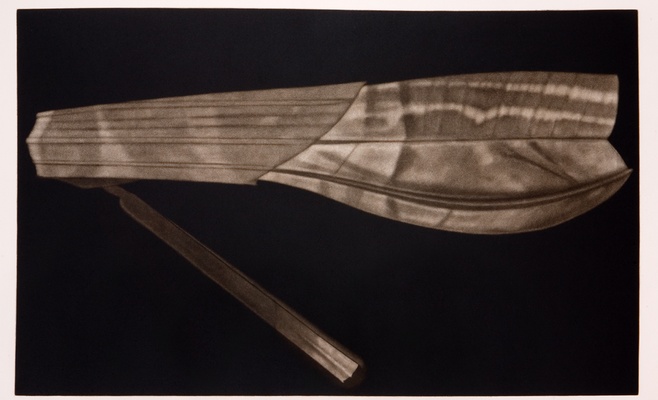 Конкурсная выставка «Графика года»