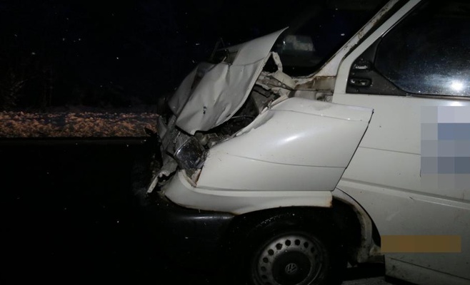 Лошади стали причиной аварий на дорогах в Южной Чехии