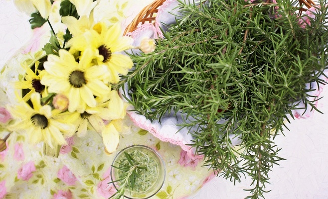 Праздник весенних трав