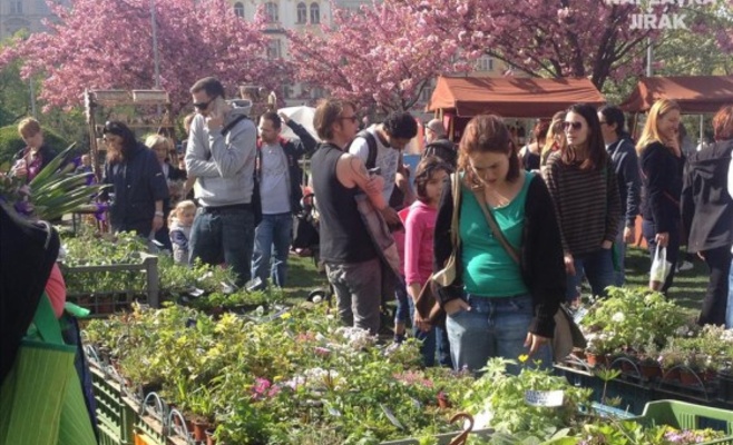 Праздник весенних трав