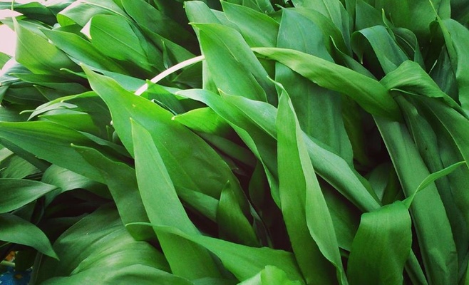 Праздник весенних трав