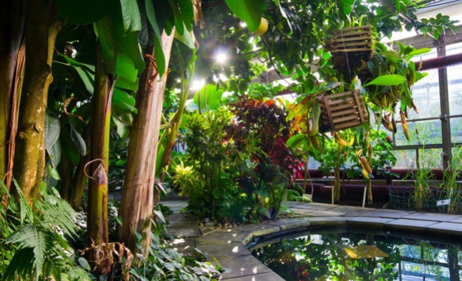 Уик-энд открытых садов