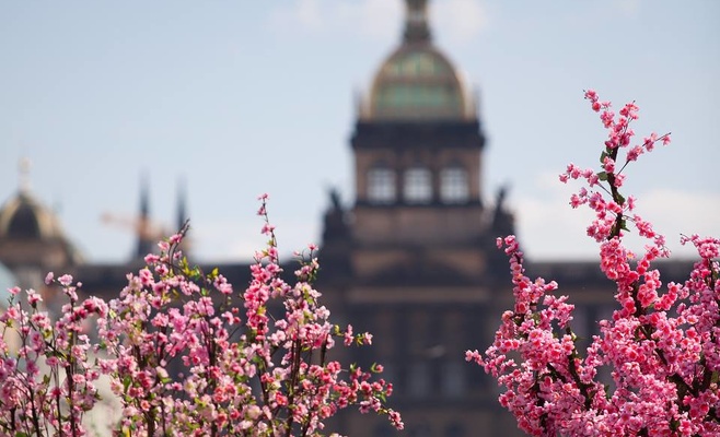 Торговая инспекция проверяла пасхальные рынки в Праге, обнаружены два нарушения