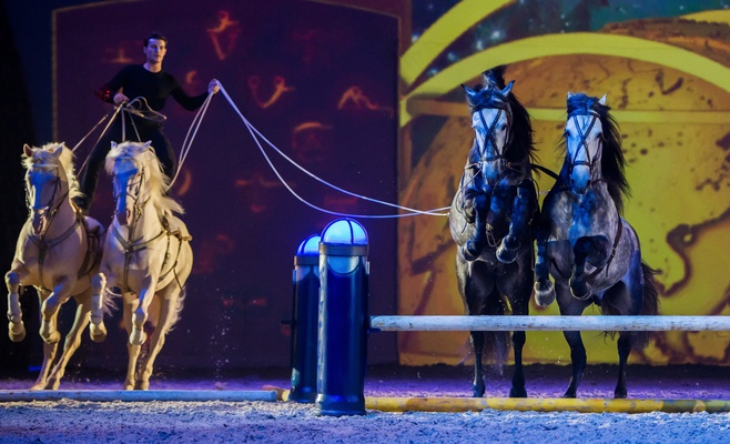 Конное шоу Apassionata — Cinema of Dreams