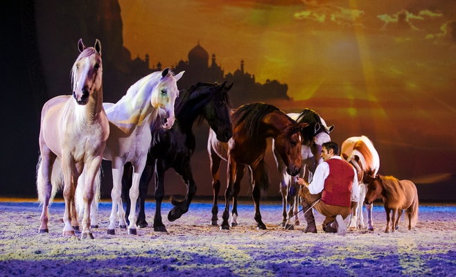 Конное шоу Apassionata — Cinema of Dreams