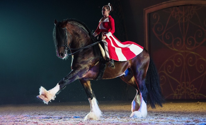 Конное шоу Apassionata — Cinema of Dreams