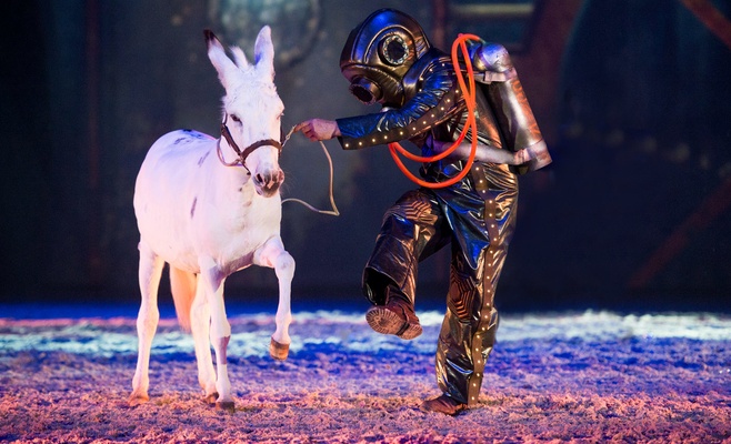 Конное шоу Apassionata — Cinema of Dreams