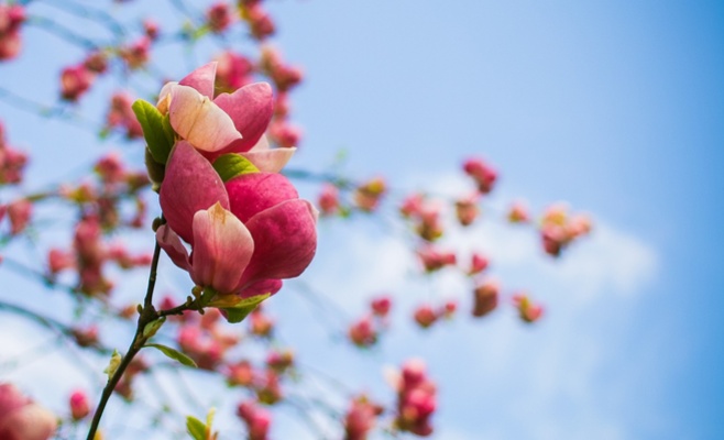 В Праге побит температурный рекорд, установленный в 1961 году