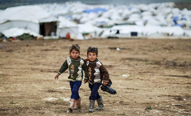 Опрос: Кто из политиков смог бы справиться с миграционным кризисом?