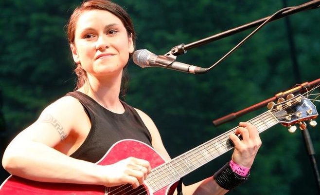 Музыкальный фестиваль Mezi ploty