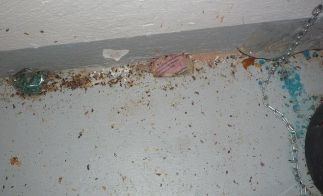 С начала года в Чехии закрыто 35 ресторанов из-за несоблюдения санитарных норм