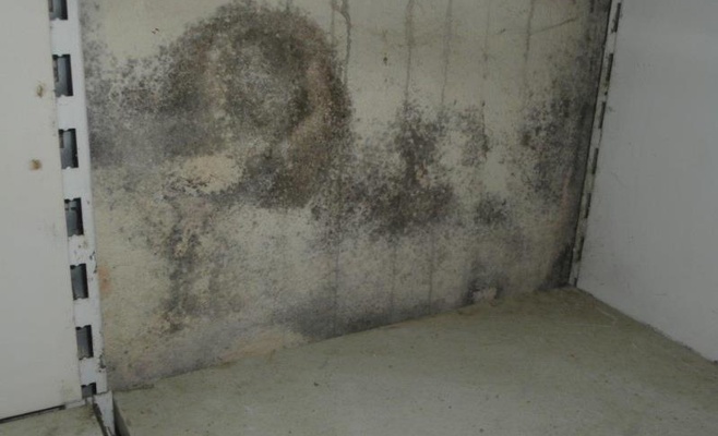 С начала года в Чехии закрыто 35 ресторанов из-за несоблюдения санитарных норм